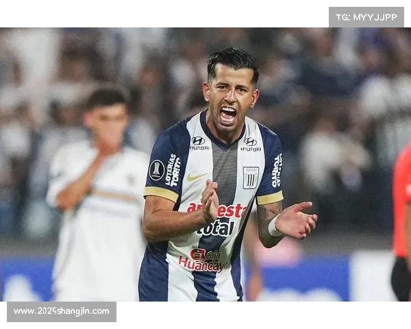 解放者杯决赛期间，游客在利马人均消费预计超千美元